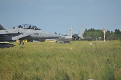 F15