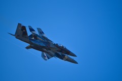 F15