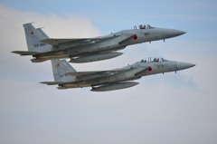 F15