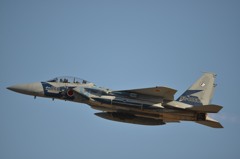 F15