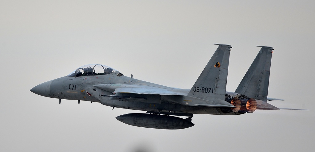 F15
