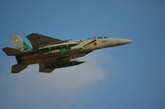 F15