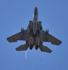F15