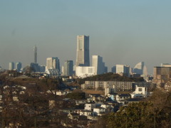 岡村公園からのみなとみらいの景色♪