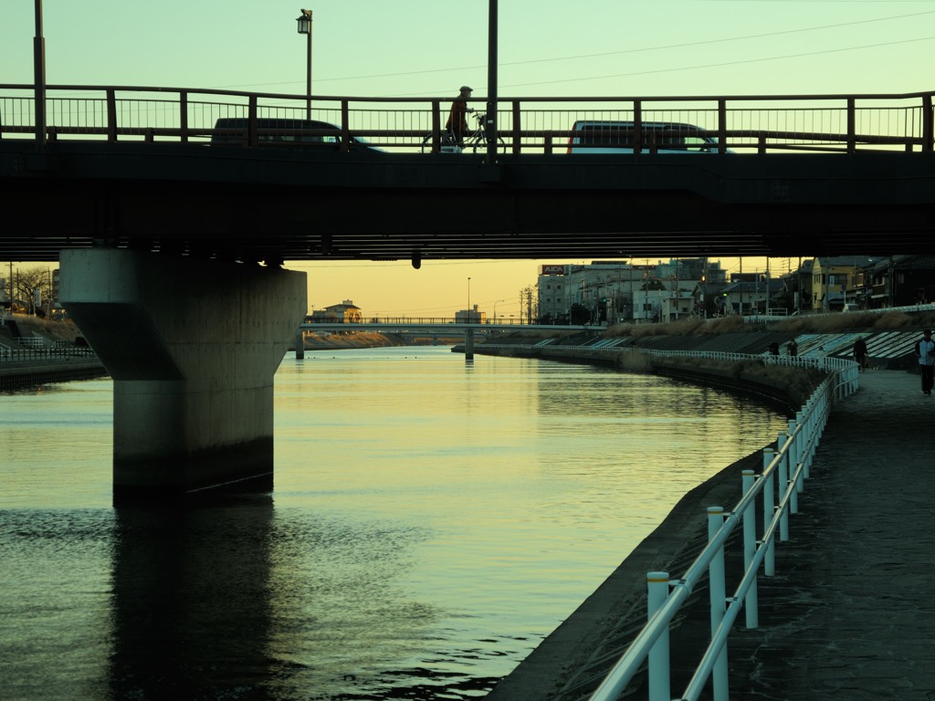 穏やかに輝く水面