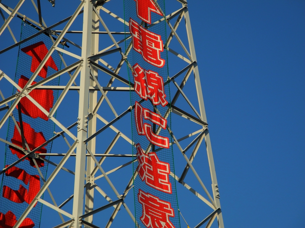 電線に注意
