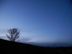 堤防の蒼い空