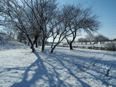 雪景色