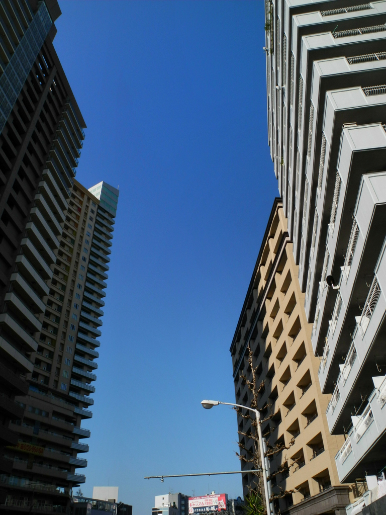 迫り来る建物群