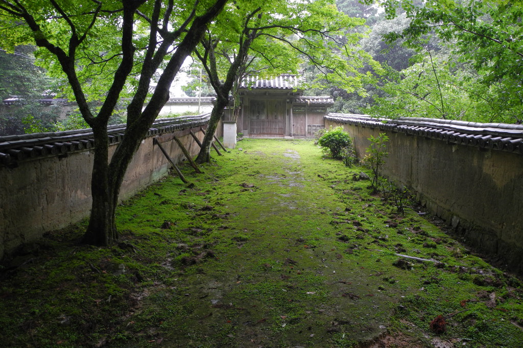 苔の庭園