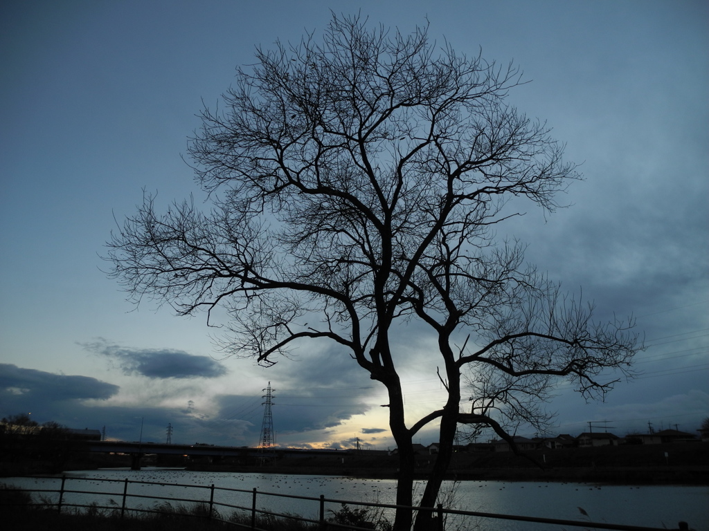 いかにも寒い空