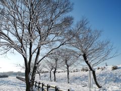 青空と雪景色