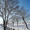 青空と雪景色