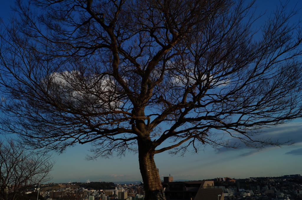 1 hour before sunset