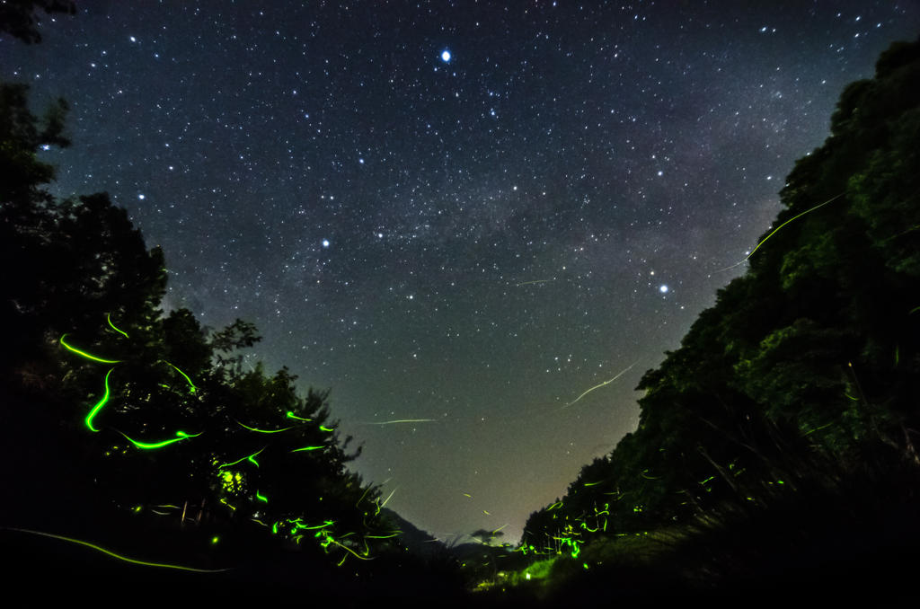 地上の星、夜空の星