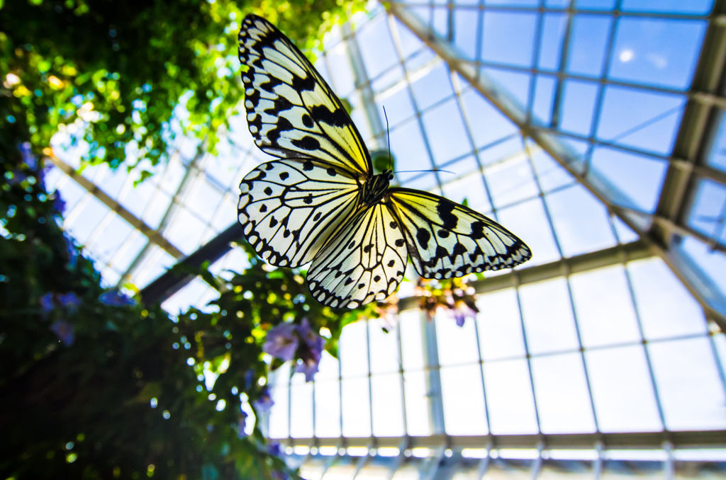 Fly higher!