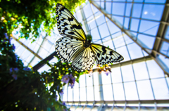 Fly higher!