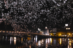 松江大橋と夜桜