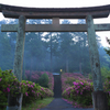 夕霞の来待神社