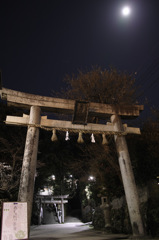 鳥居と月