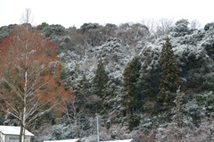 春先の雪景色