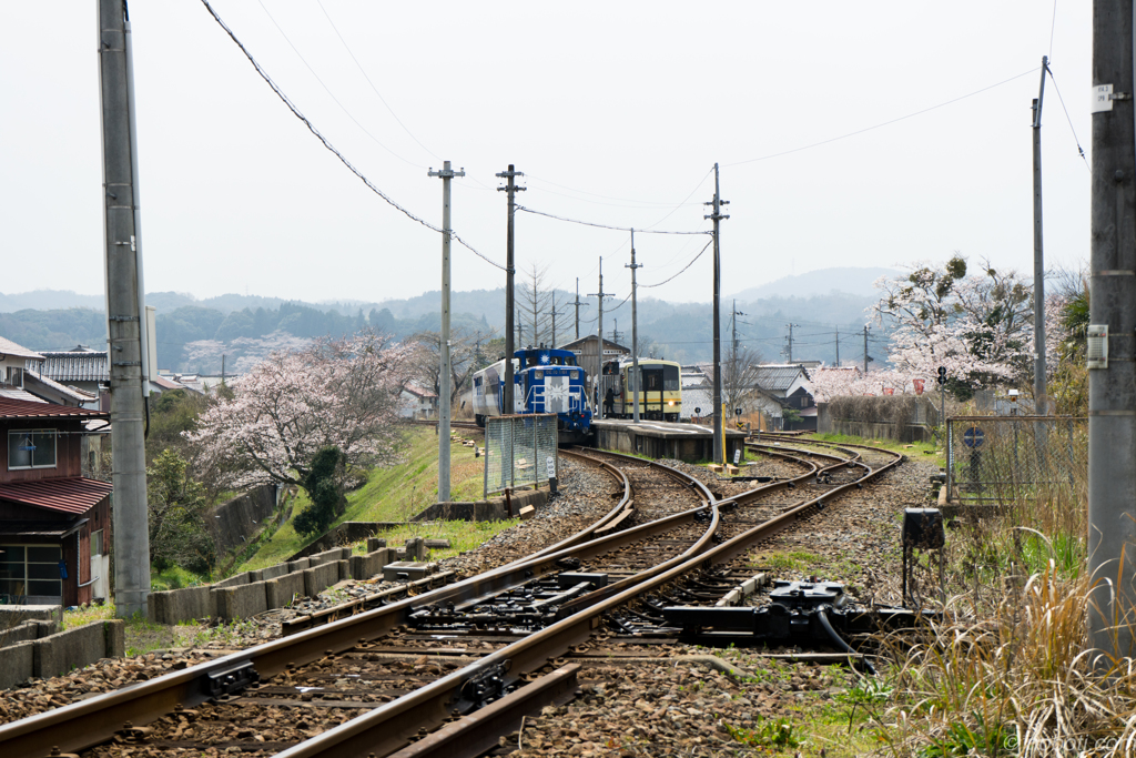 JR木次線　- 春 -
