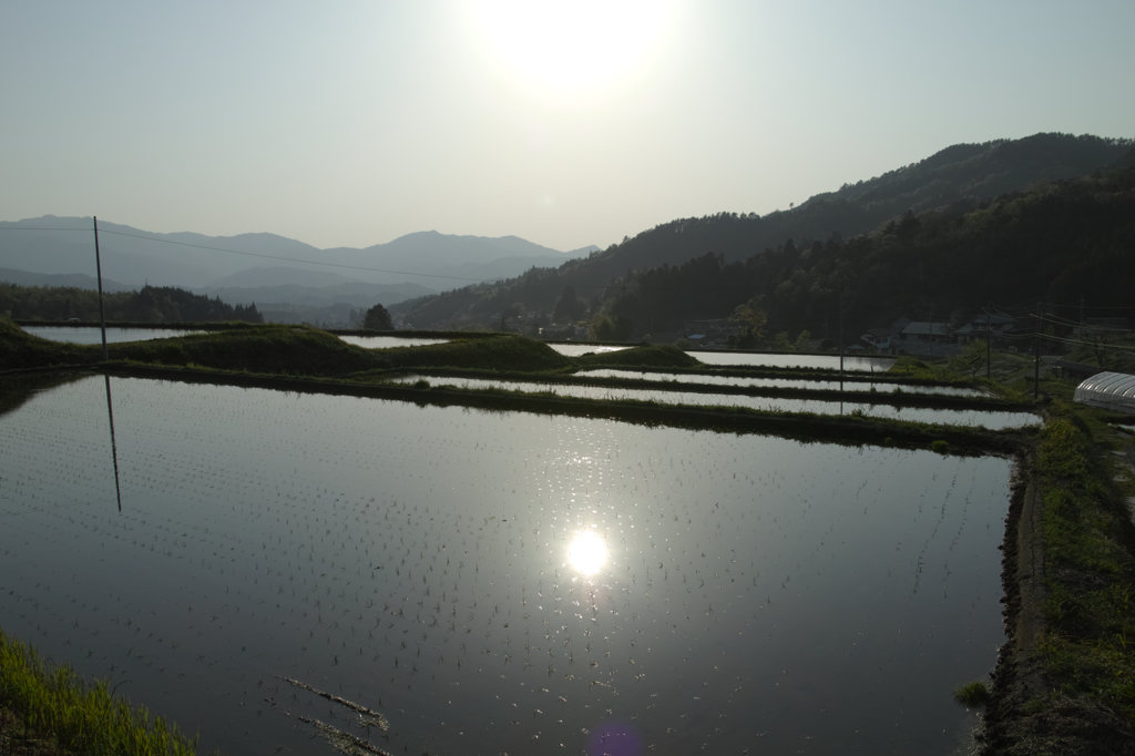 大原新田棚田