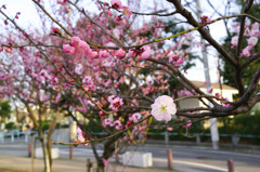 DSC01128