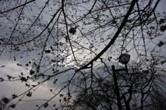 DSC00808