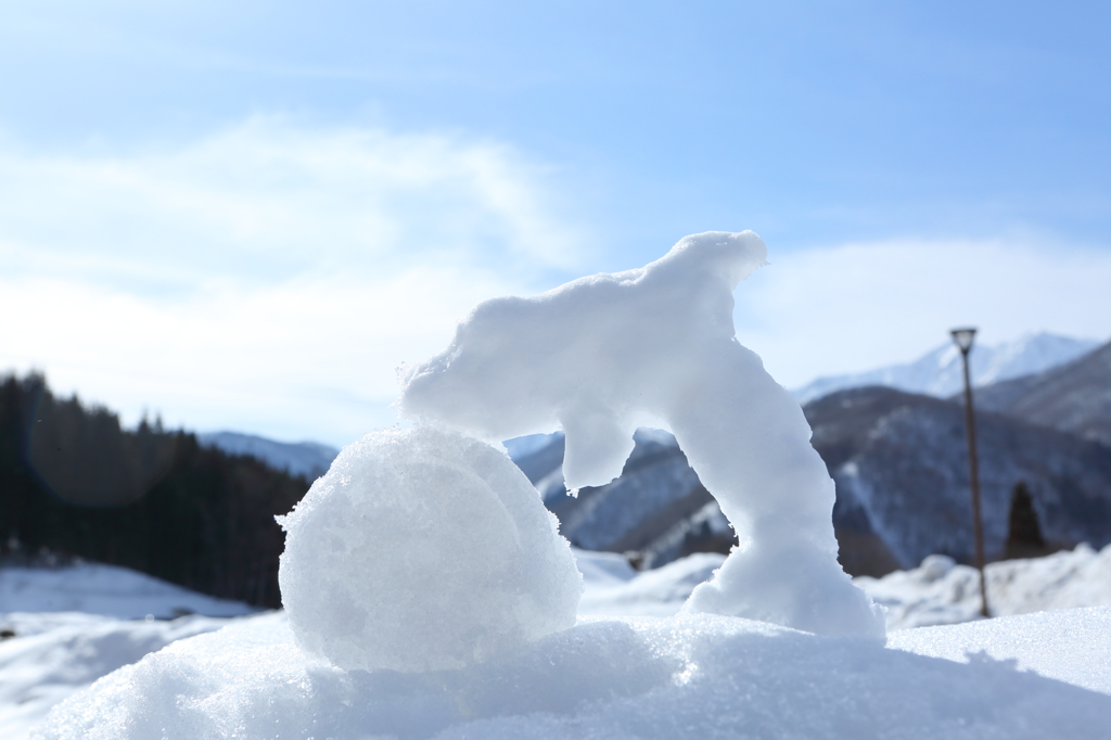 雪イルカ