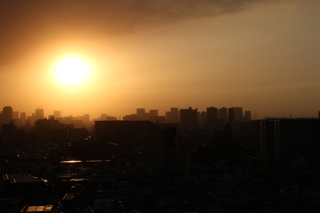 夕日