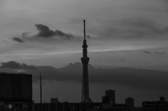 スカイツリー