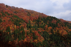 氷ノ山