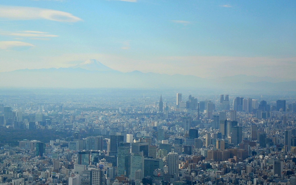新宿ビル群と富士山