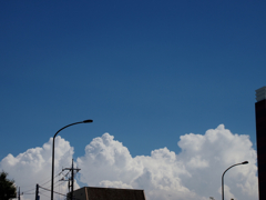 夏雲