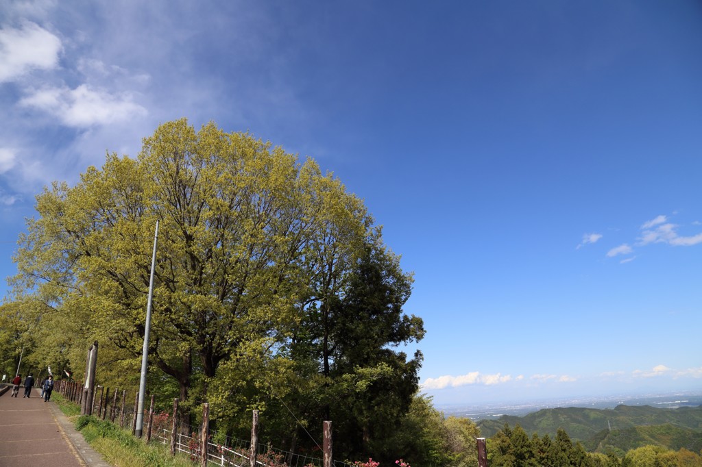 埼玉県秩父高原牧場にて