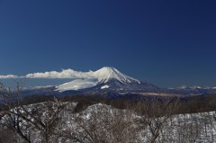 まさに霊峰富士