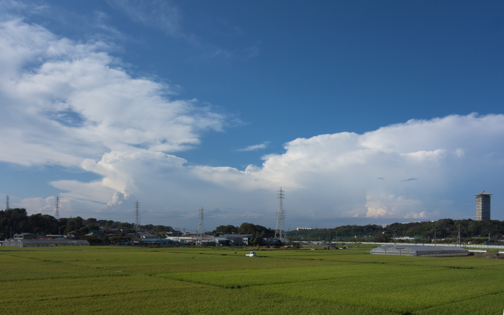 今年も多くの実りがありますように