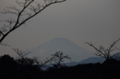 こども自然公園から見える富士山