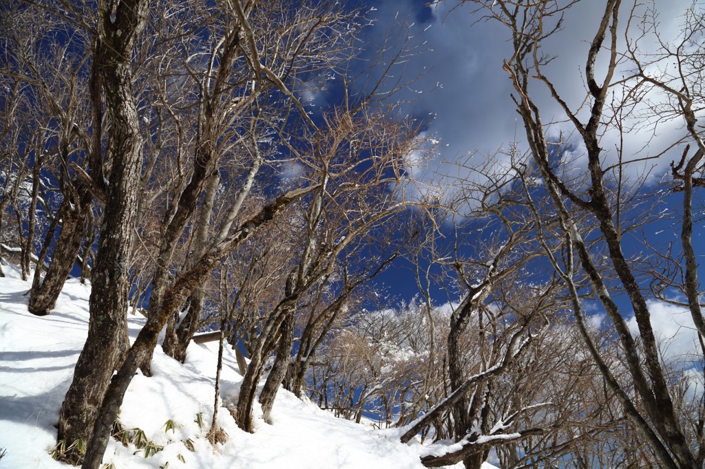 もう山は冬です。