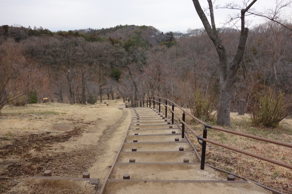 こども自然公園