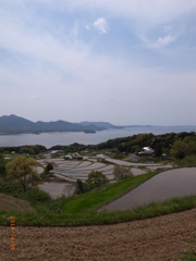 tanada