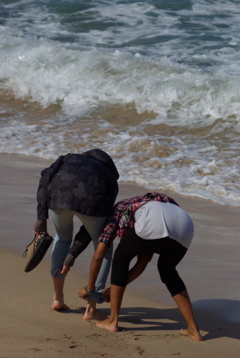 初夏の大浜
