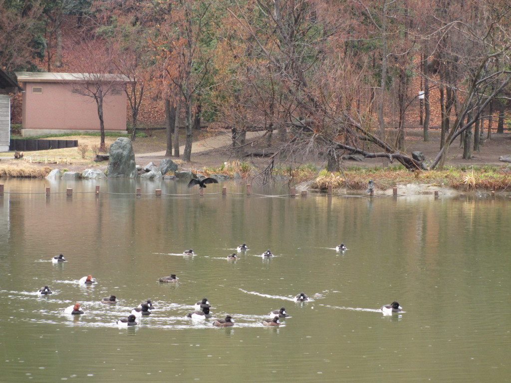 徳生公園①