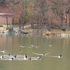 徳生公園①