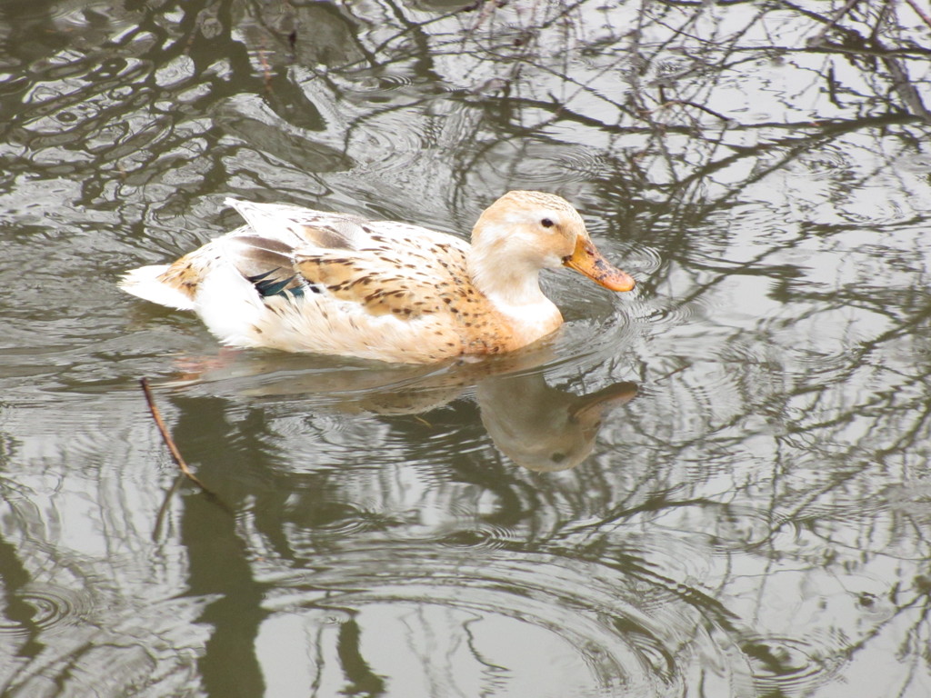 徳生公園にて