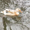 徳生公園にて