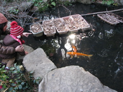 長屋門公園の恋