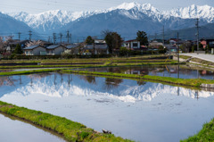 田植え待つ