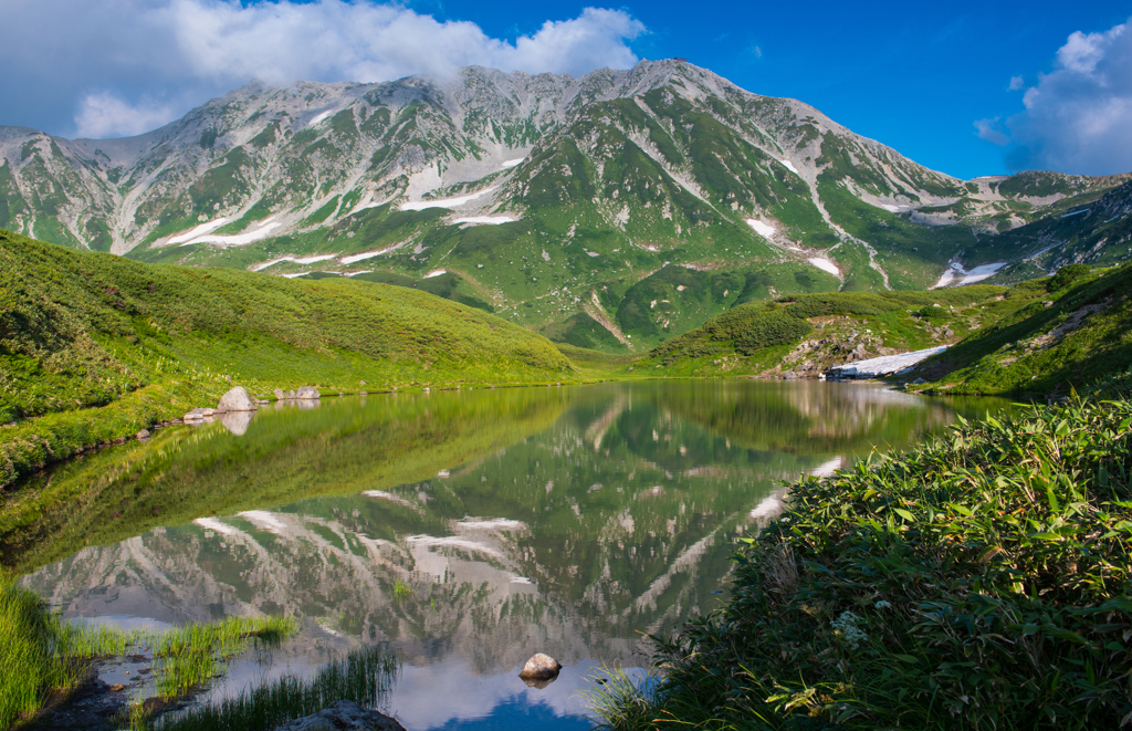 夏山の記憶